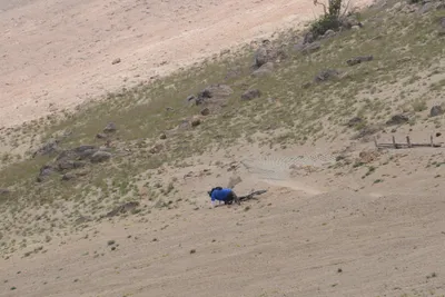 DSC_3069 (Large).JPG